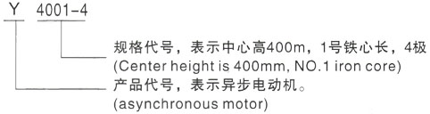 西安泰富西玛Y系列(H355-1000)高压蚌山三相异步电机型号说明